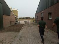 Testing in NL farms